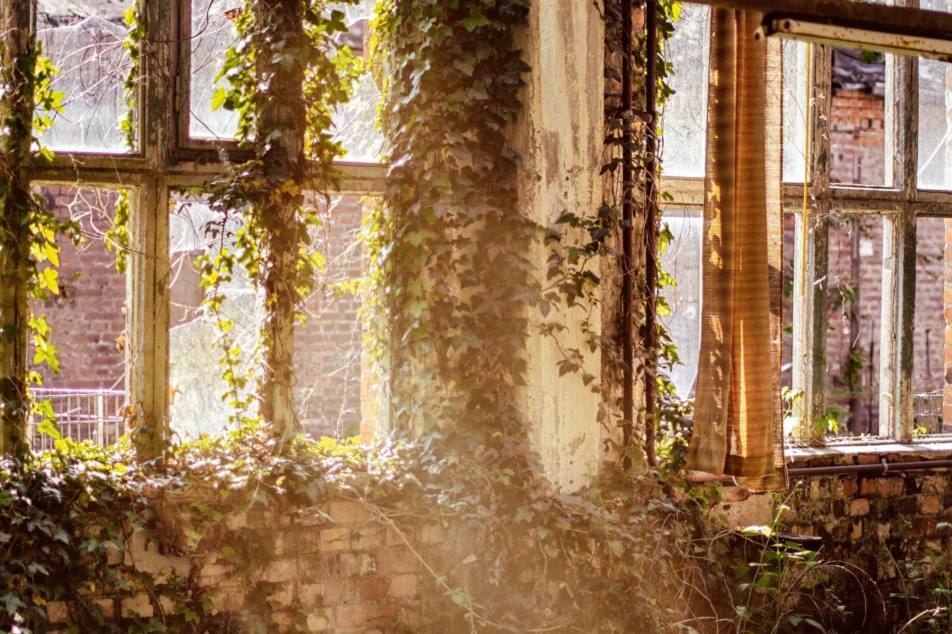 How long do windows last: when should you replace your uPVC windows?