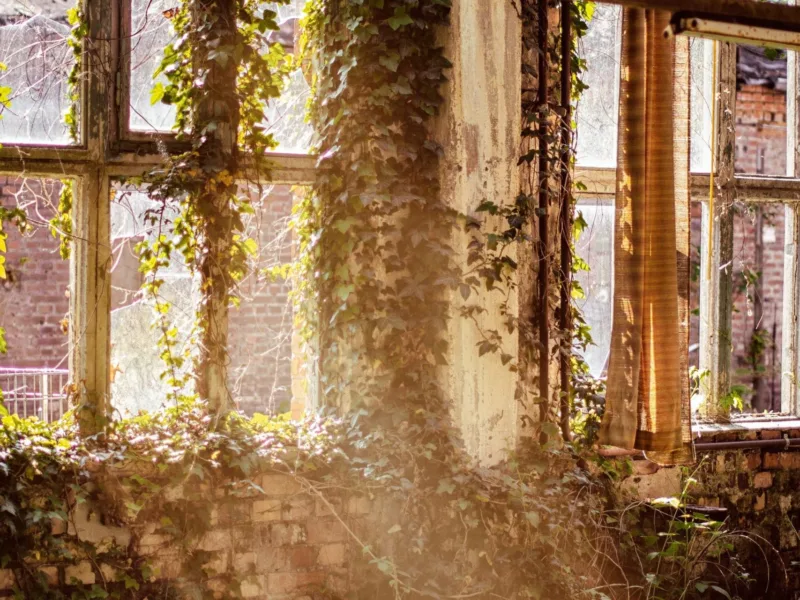 How long do windows last: when should you replace your uPVC windows?