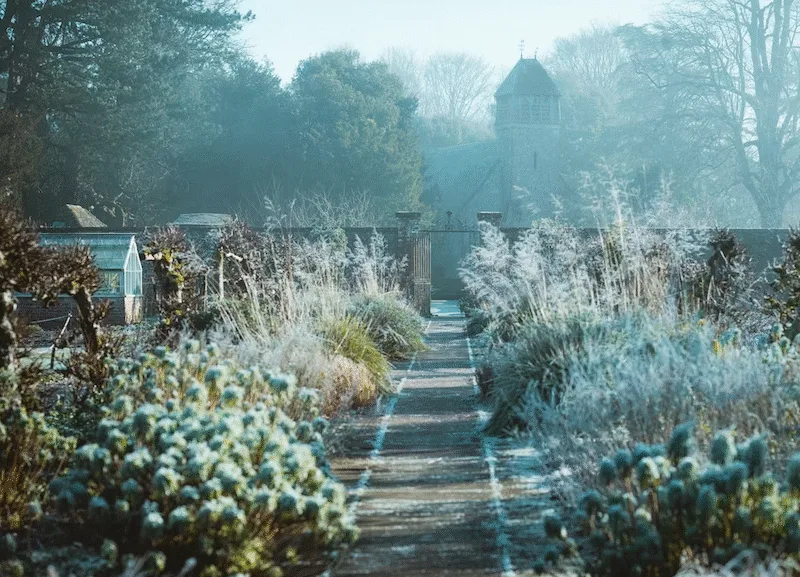 Winter home and garden aesthetics