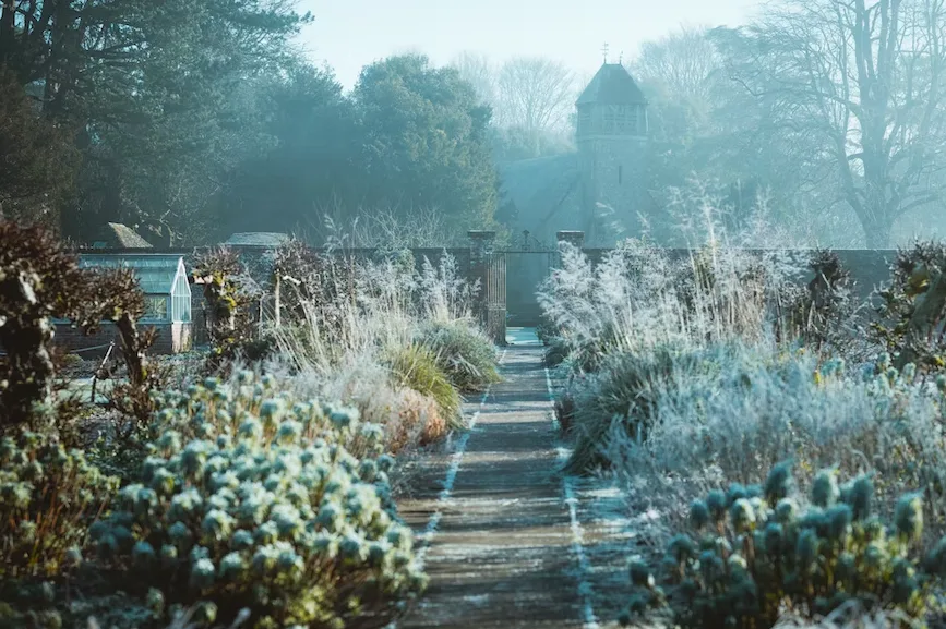 Winter home and garden aesthetics