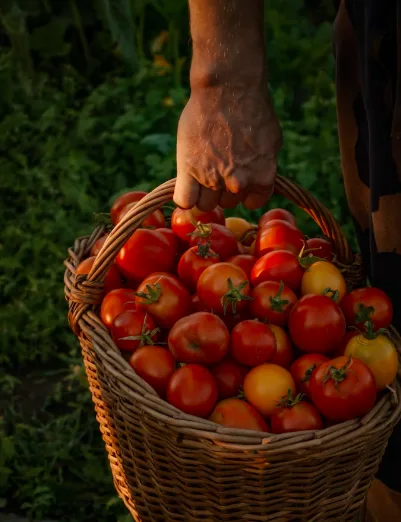 What are the mental health benefits of gardening