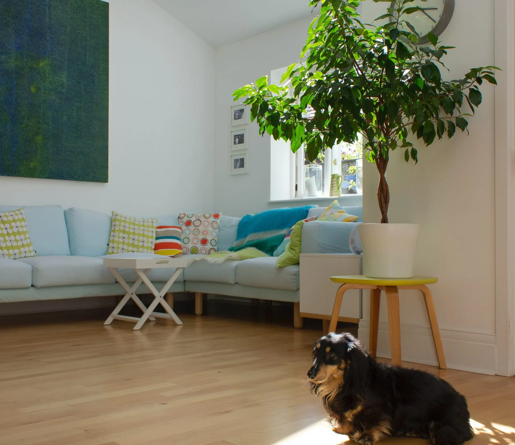 Window and door trends in 2020