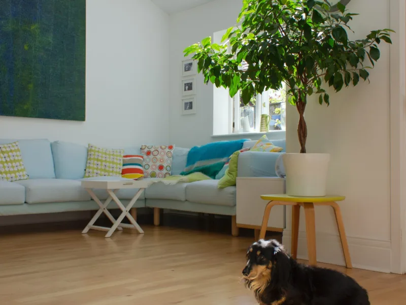 Window and door trends in 2020